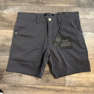 LEVINAS Charcoal Gray Mens Shorts size 32